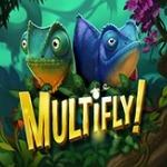 Multifly!